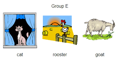 group-e