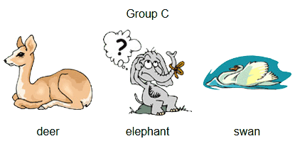 group-c