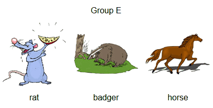 group-e