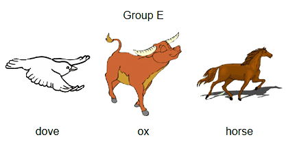 group-e