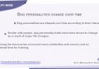 Dog personalities change over time
