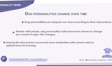 Dog personalities change over time