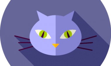 What your favorite cat says about your personality