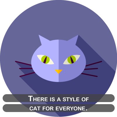 What your favorite cat says about your personality